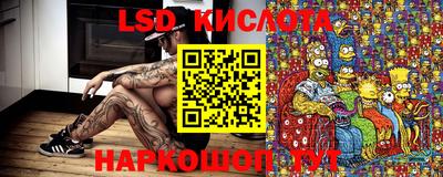Альфа ПВП Моздок